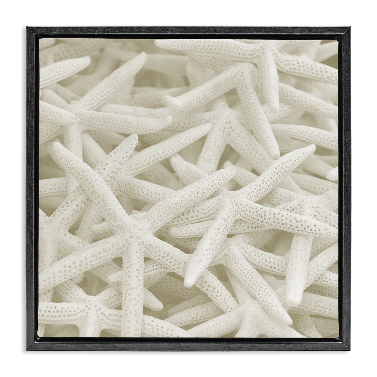 Stupell Industries Nautical White Starfish Photography Framed Floater Canvas Wall Art